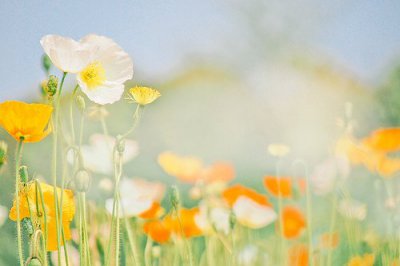 ​2023四月唯美的正能量文案致自己的文案(精选94句)