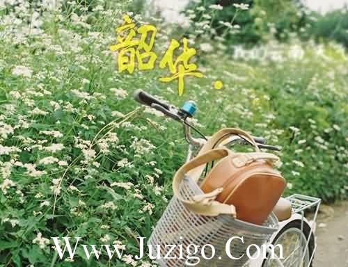 晚安心语正能量语录 睡前发个朋友圈晚安语(83句)
