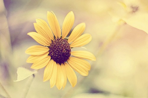 女孩正能量语录100句