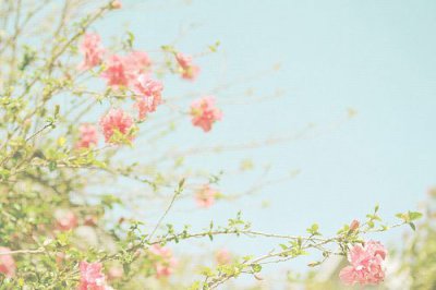 ​关于创意的句子108句