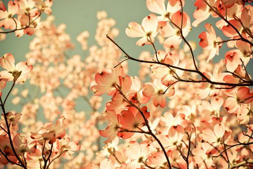 清明节祭奠先烈寄语 清明节祭奠先烈寄语200(精选92句)