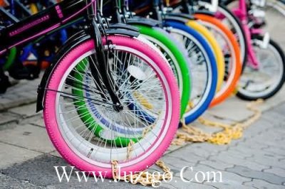 ​什么花的话语是思念春节思念家乡的话语(精选75句)