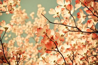 ​qq性签名情侣81句