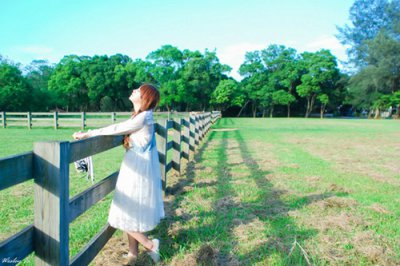 ​美文伤感语录83句