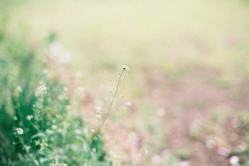 qq签名非主流情侣80句