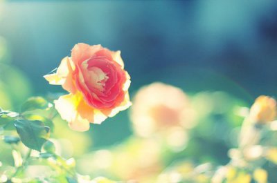 ​2023年qq情侣网名大全118句