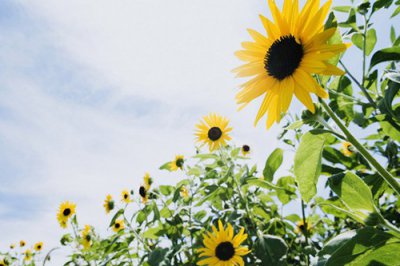 ​2023年qq情侣网名大全132句