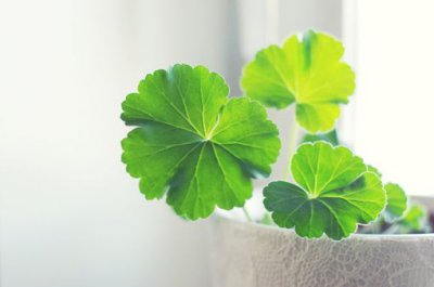 ​成功励志语录精选84句