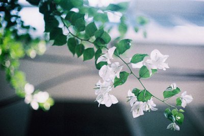 ​青春励志名言69句