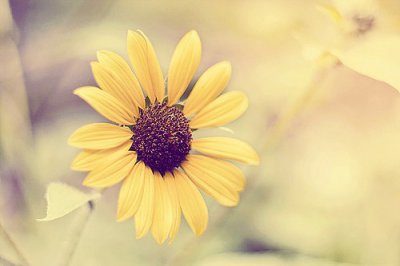 ​纪念九一八事变90周年正能量文案(精选61句)