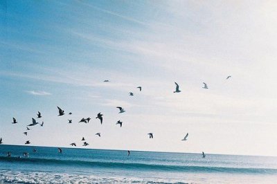 ​qq签名唯美句子80句