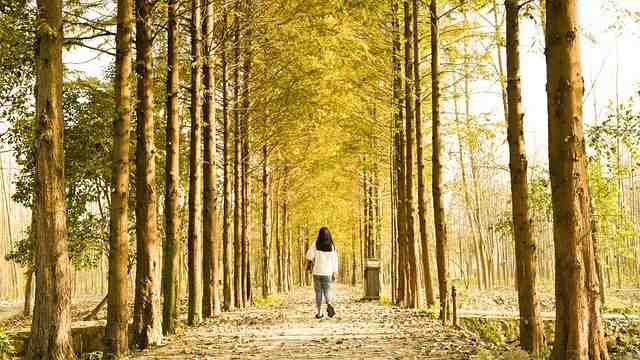 情感语录经典文案 第一眼就心动的文案