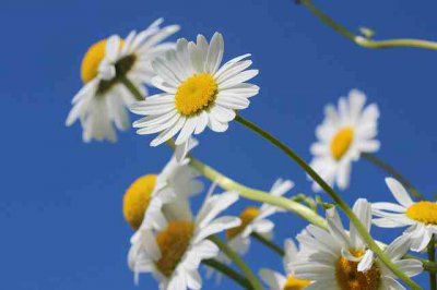 ​心情短语个性签名（精选120句）