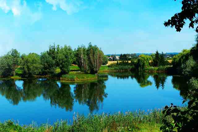 最新心情短语（精选120句）