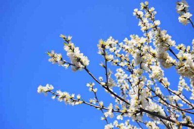 ​发朋友圈的烦句子（精选81句）