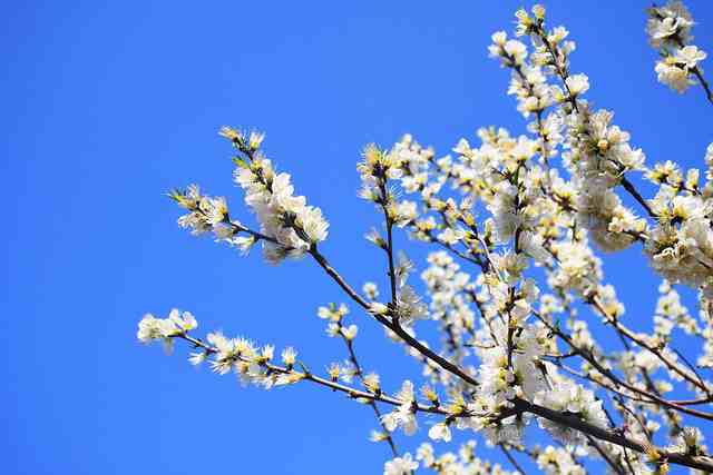 发朋友圈的烦句子（精选81句）