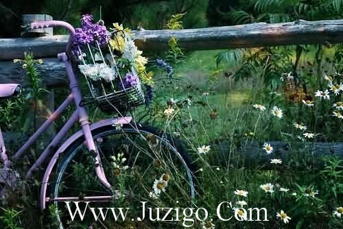 有关元宵节妙句(精选40句)