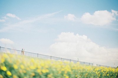 ​高考励志标语88句