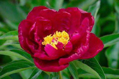 ​感悟生活经典句子83句