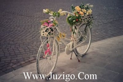 ​努力工作的句子努力工作正能量的句子(精选65句)