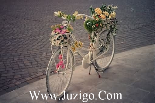 努力工作的句子努力工作正能量的句子(精选65句)