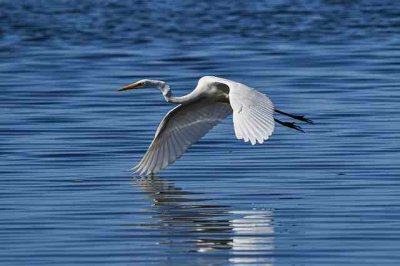 ​孤独伤心的句子说说心情58句