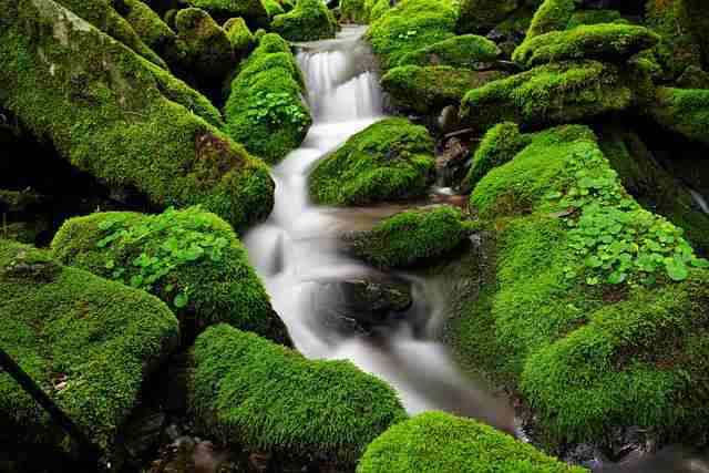 描写雨天的优美句子