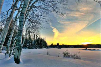 ​经典唯美的句子