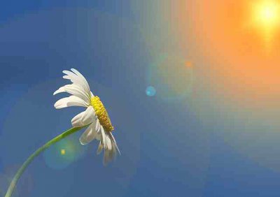 ​爱是不保存犯错的记录，爱是不提过去的失败