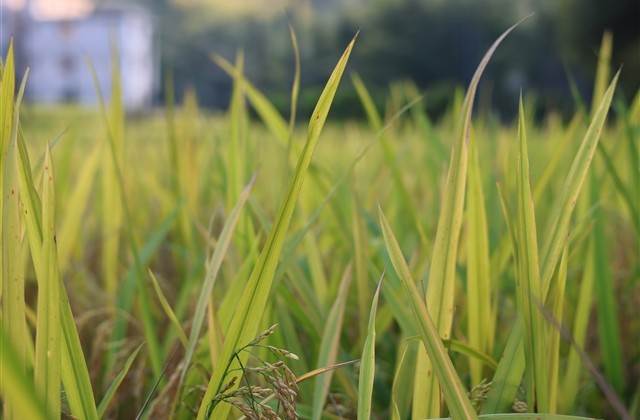 六一儿童节说说心情短语