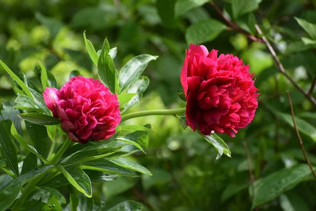 新欢不及旧爱的说说句子