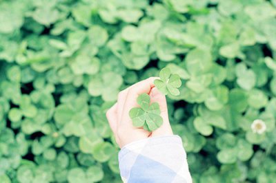 ​2023初三奋战中考励志标语口号初三中考励志口号(精选73句)