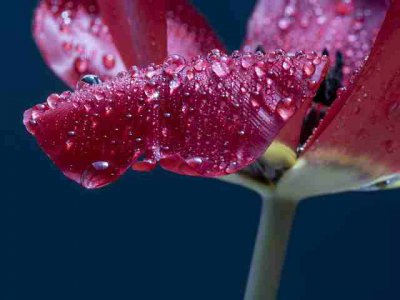 ​很走心的神仙干净文案短句 发朋友圈很好听的语录句子