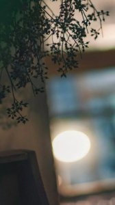 ​心情烦躁郁闷的伤感说说心情[30条] (压抑憋屈的心情说说)