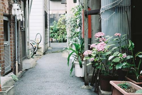 人生格言励志短句