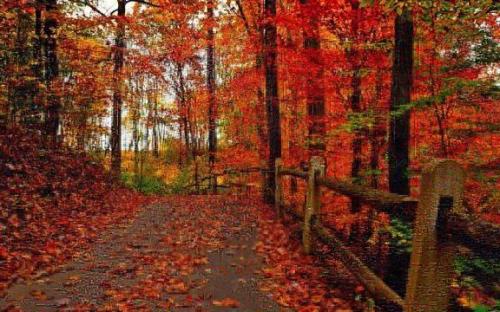 自己做早餐的幽默句子