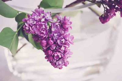 ​感叹人心险恶的句子  形容人心险恶的短句