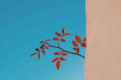 ​每天一句话心情签名79句