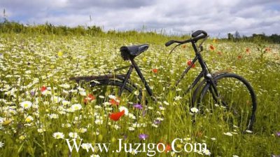 ​2023爱护环境的励志标语短语工地环境日宣传标语(精选71句)