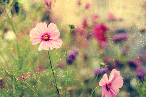 清晨说说简单一句话 早安心语正能量短句(29句)