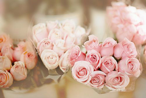 2023年路再难也要走励志句子(30句)