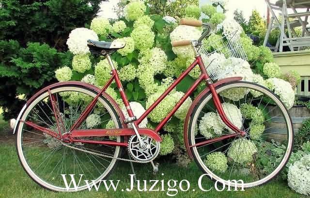 本世纪最打动人心的励志文案(40句)