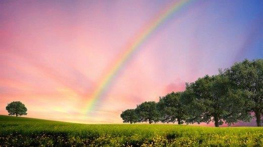 我被爱情伤透了心