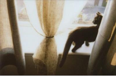 说说大全爱情说说长的