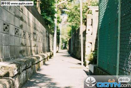 有关爱情的名言杨绛