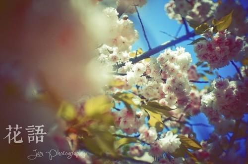 幽默的人怎么发朋友圈