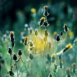 ​对爱情绝望的网名（关于爱情的网名男生）