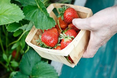 ​瞎子的歇后语88句