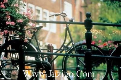 ​一年级谚语有哪些68句