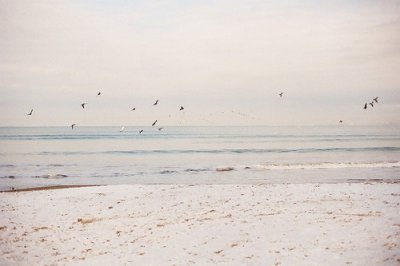 ​信任英语谚语